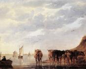 阿尔伯特 库普 : Herds